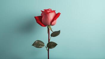 ai généré une l'amour Contexte avec une rouge Rose. photo