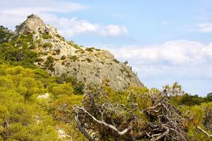 pin sur le Montagne dans Grèce photo