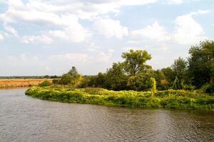 vue sur la belle rivière et la forêt photo