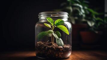 ai généré proche en haut de une Jeune plante pousse de le sol dans verre pot. photo