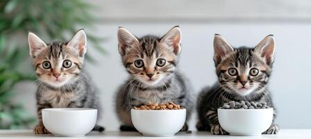 ai généré mignonne chatons vivement recueillies pour une repas, national animaux domestiques béatement anticipant nourriture photo