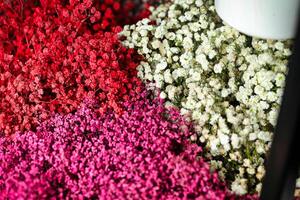 beau bouquet de fleurs dans un vase photo