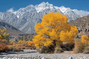 ai généré magnifique la nature Montagne paysage professionnel la photographie photo