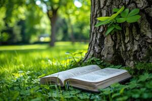 ai généré une couverture et une livre en dessous de une arbre dans une ensoleillé printemps parc professionnel la photographie photo