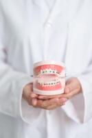 dentiste avec orthodontique dent modèle et support ou entretoise. nettoyer et rayer de tartre. mai orthodontique santé jour, Mars oral santé, dentiste jour, faux dents. mal aux dents et les enfants dentaire santé photo