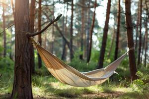 ai généré avoir commencé avec camping hamac professionnel la photographie photo