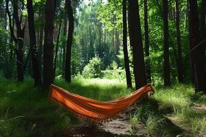 ai généré avoir commencé avec camping hamac professionnel la photographie photo