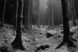 ai généré effrayant vert foncé forêt la nature professionnel la photographie photo