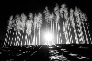 ai généré effrayant vert foncé forêt la nature professionnel la photographie photo