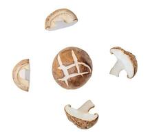 Haut vue ensemble de shiitake champignon avec moitiés ou tranches isolé sur blanc Contexte avec coupure chemin photo