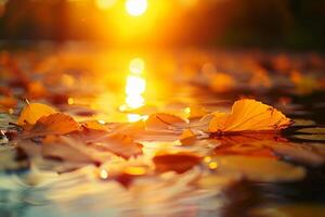 ai généré l'automne feuilles sur l'eau surface avec Soleil des rayons et bokeh. photo