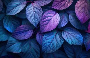 ai généré une bleu et violet feuille fond d'écran photo