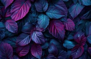 ai généré foncé violet feuille fond d'écran photo