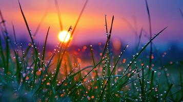 ai généré dans le silence de aube, le herbe est orné avec Frais Matin rosée, chaque gouttelette pétillant avec le promettre de une Nouveau journée photo
