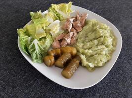 fait maison grillé poulet avec Zucchini ragoût, vert salade et concombre cornichons servi sur une blanc assiette photo