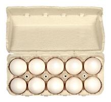 Frais des œufs sur blanc photo