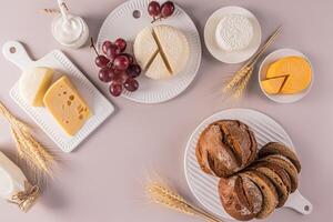 traditionnel laitier traite pour le vacances de chavouot. fromage, chalet fromage, acide crème, pain, les raisins sur blanc céramique plateaux sur pastel Contexte. photo