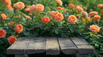 ai généré en bois podium parmi des roses usine, Naturel beauté podium toile de fond pour produit afficher. photo