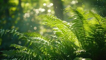 ai généré Matin Soleil illumine vert fougère feuilles dans le forêt photo