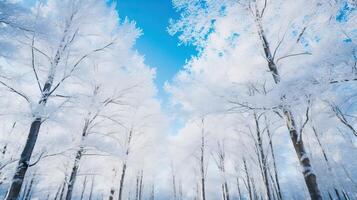 ai généré neige couvert des arbres dans hiver forêt en dessous de bleu ciel photo