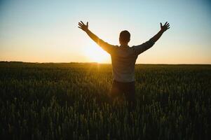 retour vue de adulte homme agriculteur supporter seul et Regardez à le coucher du soleil ou lever du soleil dans ciel. gars supporter sur blé champ. mûr récolte temps. Soleil brille dans ciel photo