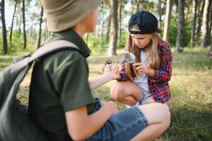 des gamins explorant la nature avec grossissant verre. été activité pour curieux enfant. photo