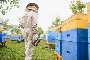 apiculteur est travail avec les abeilles et ruches sur rucher. les abeilles sur rayon de miel. cadres de abeille ruche. apiculture. Miel. en bonne santé aliments. Naturel des produits. photo