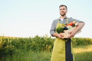 Jeune Masculin agriculteur en marchant le vert champ et porter boîte avec récolte des légumes pendant ensoleillé été journée. photo