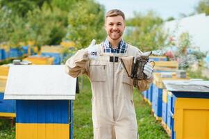 apiculteur est travail avec les abeilles et ruches sur rucher. les abeilles sur rayon de miel. cadres de abeille ruche. apiculture. Miel. en bonne santé aliments. Naturel des produits. photo