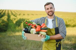 une Masculin agriculteur avec une boîte de Frais des légumes des promenades le long de sa champ. en bonne santé en mangeant et Frais des légumes photo