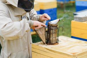 une outils de le apiculteur. tout pour une apiculteur à travail avec les abeilles. fumeur, une ciseau, une boîte, apiculteur costume pour protection de le les abeilles, équipement pour apiculture, apiculture concept photo