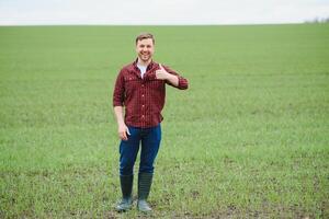 portrait de agriculteur permanent dans blé champ. photo