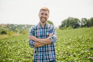 jeune agriculteur dans les champs de soja photo