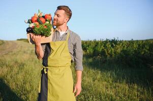 une Masculin agriculteur avec une boîte de Frais des légumes des promenades le long de sa champ. en bonne santé en mangeant et Frais des légumes photo