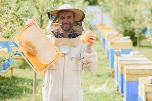 apiculture, apiculteur à travail, les abeilles dans vol. photo