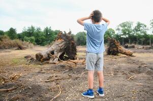 la déforestation une triste garçon des stands dans le milieu de une Couper forêt. photo