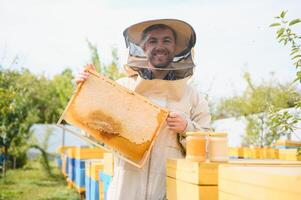 apiculteur travail collecte Miel. apiculture concept. photo