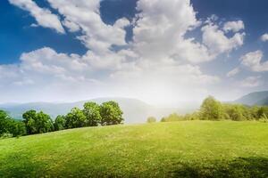 magnifique paysage avec vert Prairie photo