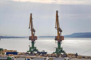 deux géant Port grues sont prêt à charge grain de cargaison navires. horizontal vue photo