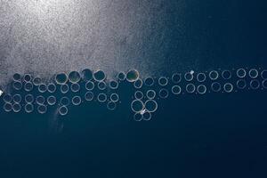 poisson ferme dans le l'eau. Haut vue de drone de le poisson ferme photo