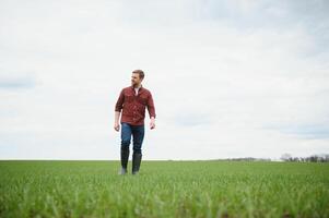 Jeune agriculteur des stands dans le vert champ vérification et attendre pour récolte à grandir. photo