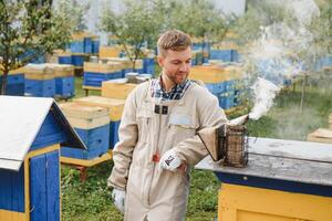 apiculture, apiculteur à travail, les abeilles dans vol. photo