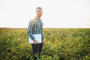 ferme ouvrier contrôles développement de soja les plantes. agronome vérification soya haricot cultures croissance dans le champ photo