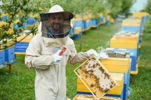 apiculture, apiculteur à travail, les abeilles dans vol. photo