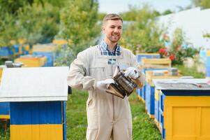 apiculteur travail collecte Miel. apiculture concept. photo