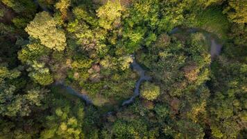 aérien vue de le forêt dans une tropical rural campagne dans le sec saison photo