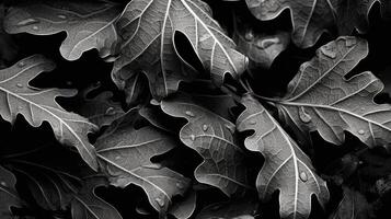 ai généré forêt chêne feuilles noir et blanc ai généré photo