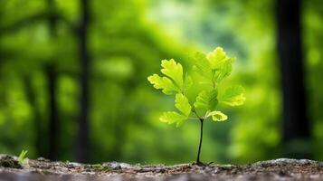 ai généré Jeune chêne jeune arbre ai généré photo