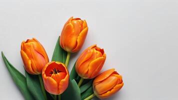 ai généré photo de ensemble de Orange Couleur tulipe fleurs isolé sur blanc Contexte plat poser. ai généré