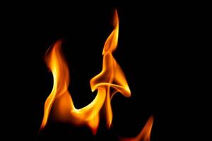 chaud flammes sur une noir Contexte. magnifique flamme de Feu dans le sombre. abstrait de brûlant flammes et fumée. photo